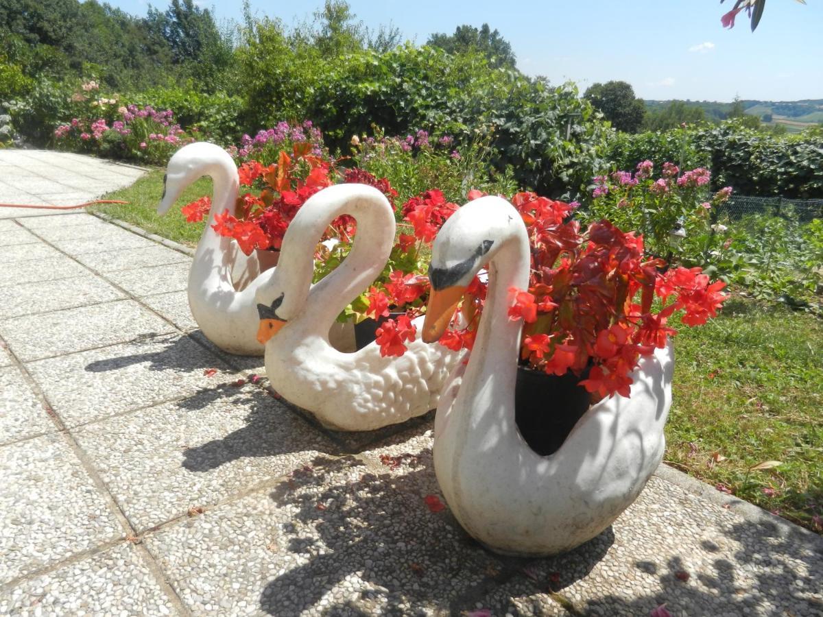 Urlaub Fuer Die Seele - Erholung Pur In Der Natur - Ferienhaus Mit Infrarotkabine & Relax-Raum Rucmanci 外观 照片
