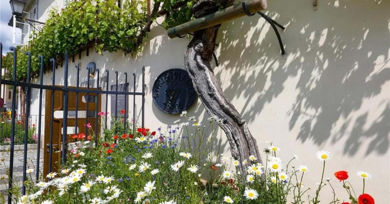 Urlaub Fuer Die Seele - Erholung Pur In Der Natur - Ferienhaus Mit Infrarotkabine & Relax-Raum Rucmanci 外观 照片