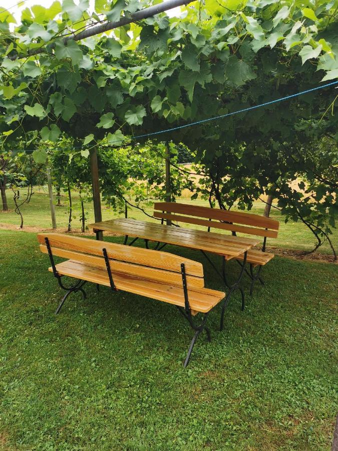 Urlaub Fuer Die Seele - Erholung Pur In Der Natur - Ferienhaus Mit Infrarotkabine & Relax-Raum Rucmanci 外观 照片